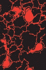 Blood Music