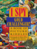 I Spy Gold Challenger: a Book of Picture Riddles