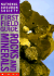 Rocks and Minerals (National Audubon Society First Field Guides)