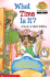 What Time is It? a Book of Math Riddles (Level 2)