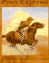 Pony Express!