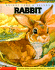 Animal Lore & Legend: Rabbit (American Indian Legends)