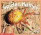 Spider Names (Emergent Readers)