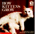 How Kittens Grow (Read With Me)