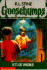 Let's Get Invisible! (Goosebumps, No. 6)