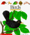 Birds First Discovery Books