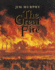 The Great Fire (Newbery Honor Book)
