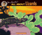 All About Lizards
