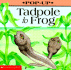 Tadpole to Frog