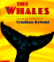 The Whales
