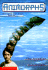 The Invasion (Animorphs)