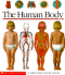 The Human Body: a First Discovery Book