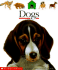 Dogs (First Discovery Books)
