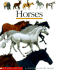 Horses: a First Discovery Book (First Discovery Books)