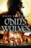 Raven 3: Odins Wolves