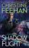 Shadow Flight (a Shadow Riders Novel)