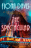 The Spectacular: a Novel