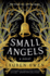 Small Angels: a Novel