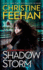 Shadow Storm (a Shadow Riders Novel)