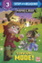 Survival Mode! (Minecraft) (Step Into Reading)
