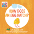 How Does an Egg Hatch? : Life Cycles With the Very Hungry Caterpillar (the World of Eric Carle)