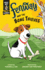 Fenway and the Bone Thieves (Make Way for Fenway! )