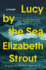 Lucy By the Sea: a Novel