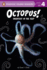 Octopus! : Smartest in the Sea?