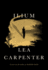 Ilium: a Novel