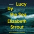 Lucy By the Sea: a Novel