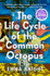 The Life Cycle of the Common Octopus: a Read With Jenna Pick: a Novel
