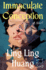 Immaculate Conception: a Novel