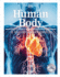 Human Body: a Visual Encyclopedia of How the Body Works