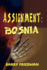 Assignment: Bosnia
