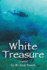 White Treasure a Novel