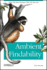 Ambient Findability: What We Find Changes Who We Become
