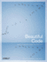 Beautiful Code: Leading Programmers Explain How They Think (Theory in Practice (O'Reilly))