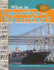 What is Importing and Exporting? (Turtleback School & Library Binding Edition)