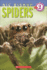 Spiders (Nic Bishop: Scholastic Reader, Level 2)