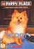 Teddy (the Puppy Place #28)
