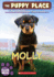 Molly (the Puppy Place #31)