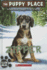 Zipper (the Puppy Place #34)