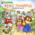 Being Thankful (Mercer Mayer's Little Critters)