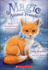 7: Ruby Fuzzybrushs Star Dance (Magic Animal Friends)