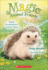 6: Emily Pricklebacks Clever Idea (Magic Animal Friends)