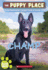 Champ (the Puppy Place #43)