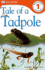 E/W Readers: Duckling Days-Level 1 1st Edition-Paper