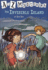 The Invisible Island (a to Z Mysteries)
