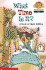 What Time is It? a Book of Math Riddles (Level 2) (Hello Reader, Math)