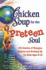 Chicken Soup for the Preteen Soul (Chicken Soup for the Soul)